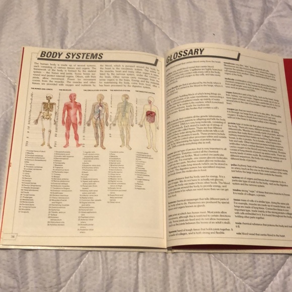 The Hunan Body book - Picture 4 of 6